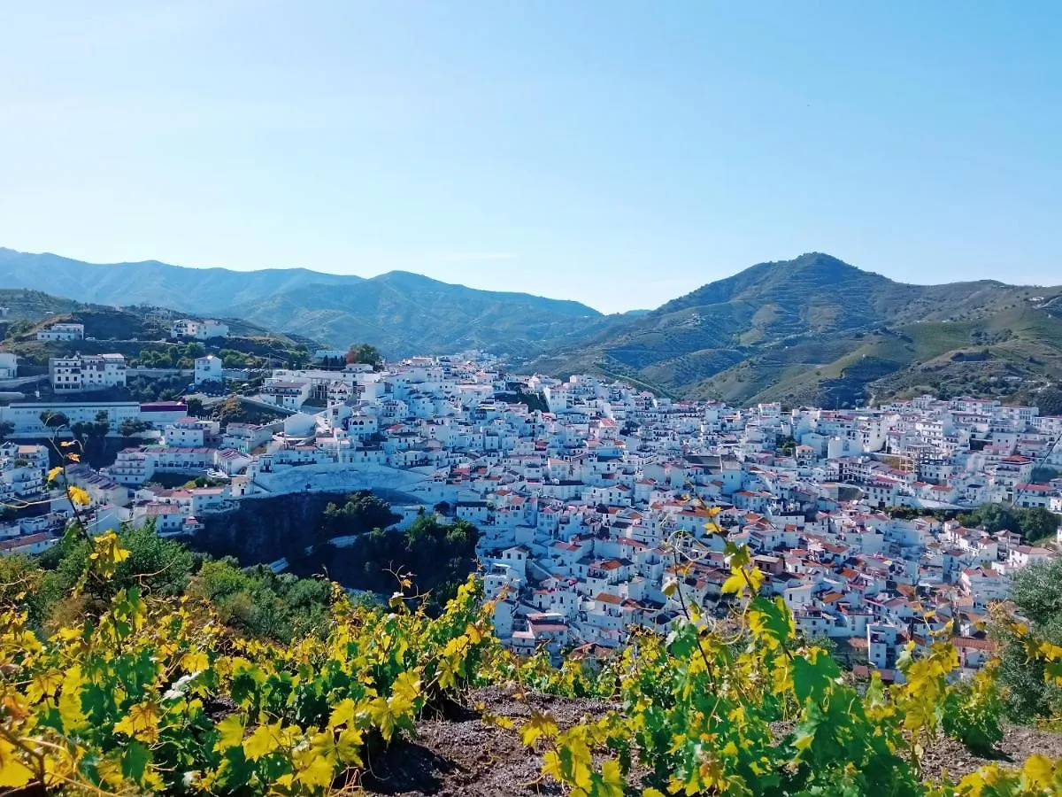 Apartamento Buena Vista Almáchar 0*,